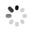  Foshan Birdies Outdoor Co., Ltd